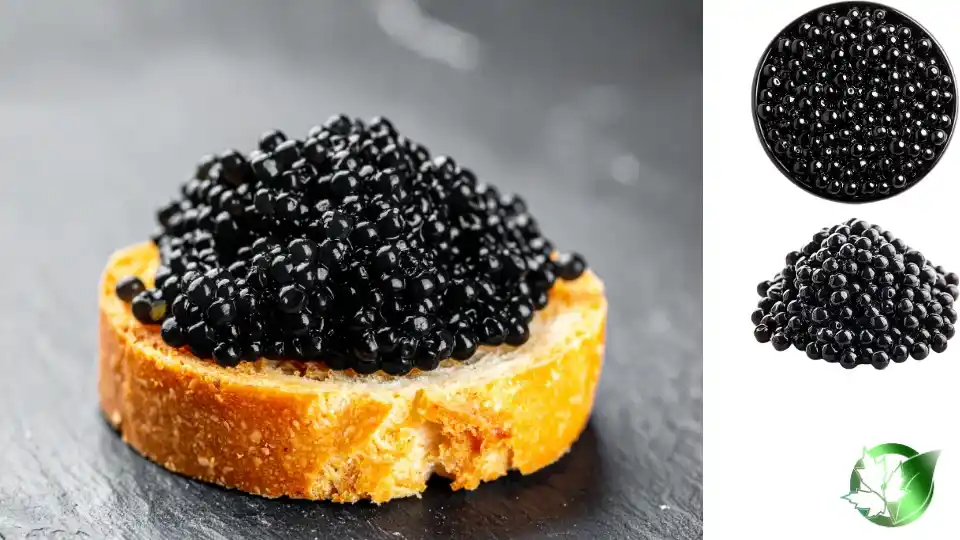 Beluga Imperial Caviar quality, format, and packaging should be matched to the buyer’s target application.